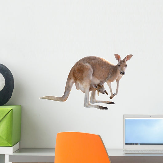 Kangaroo with Joey