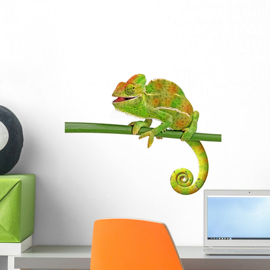 Happy Chameleon