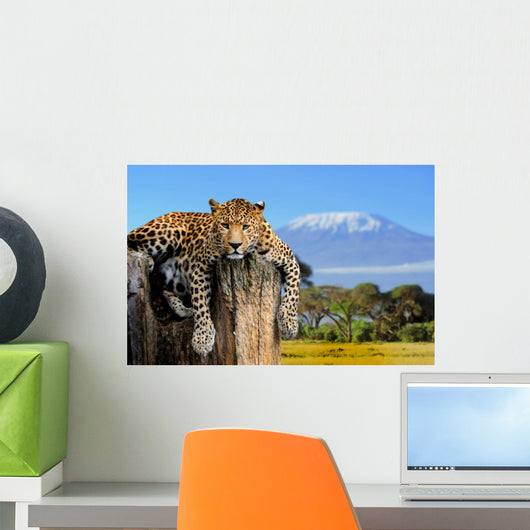 Leopard
