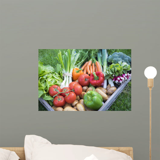 Large Basket Vegetables Plan