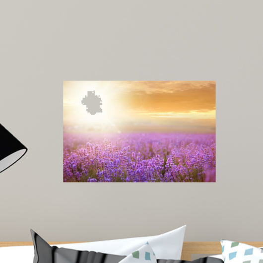 Sunset over Lavender Field