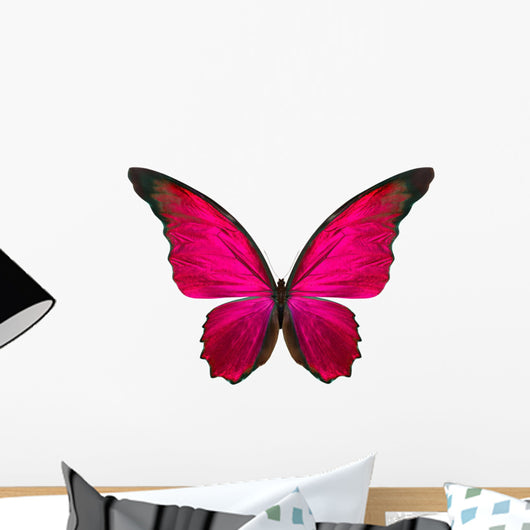 Beautiful Butterfly White