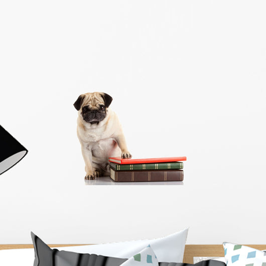 Well-read Pug Dog Wall Decal