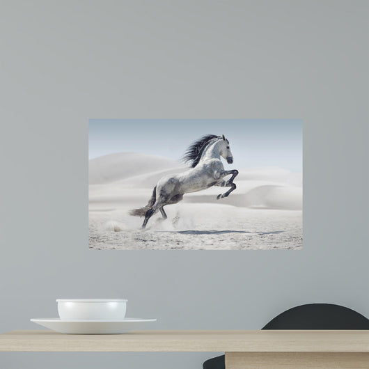 Picture Presenting Galloping White