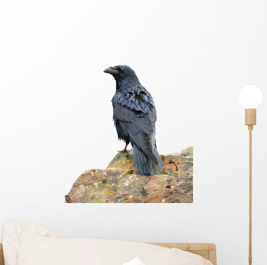Perching Raven Wall Decal