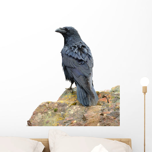 Perching Raven Wall Decal