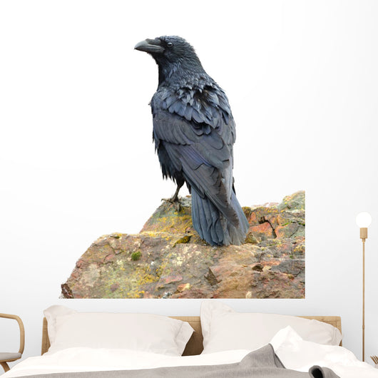 Perching Raven Wall Decal