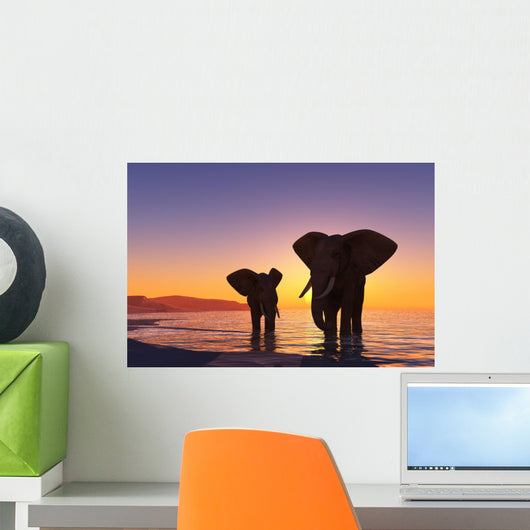 Elephants Beach