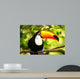 Colorful Tucan Aviary