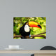 Colorful Tucan Aviary