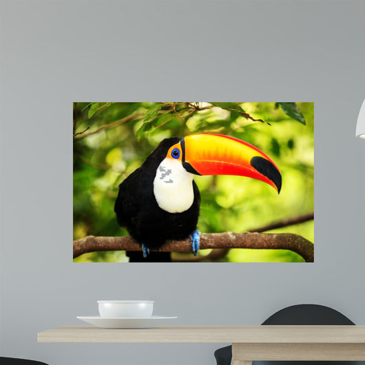 Colorful Tucan Aviary