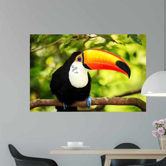 Colorful Tucan Aviary