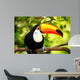 Colorful Tucan Aviary