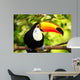 Colorful Tucan Aviary
