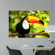 Colorful Tucan Aviary