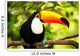 Colorful Tucan Aviary