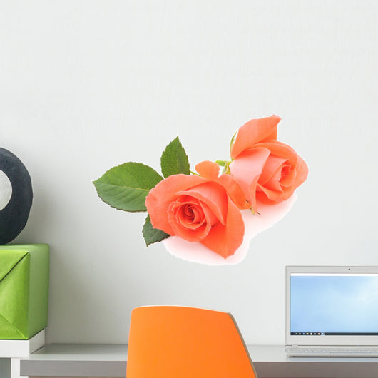 Orange Roses