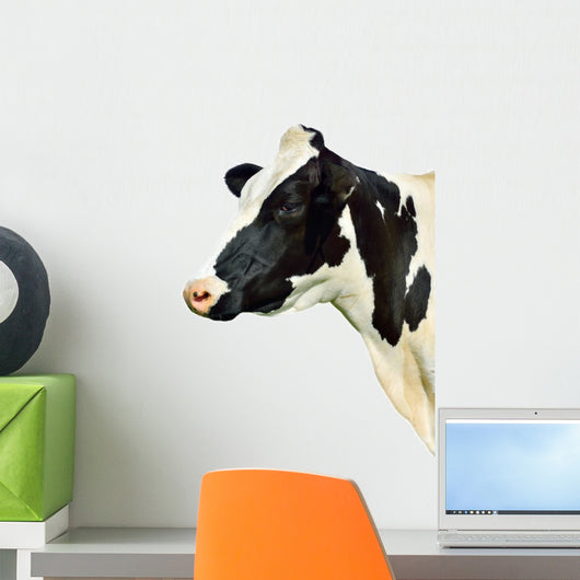 Cow White