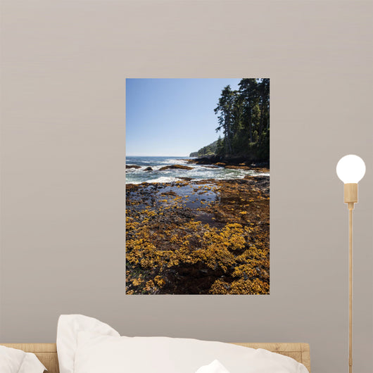 Washington Coast 3