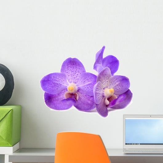 beautiful blooming orchid Wall Decal