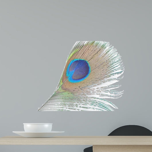 Green Peacock Feathers