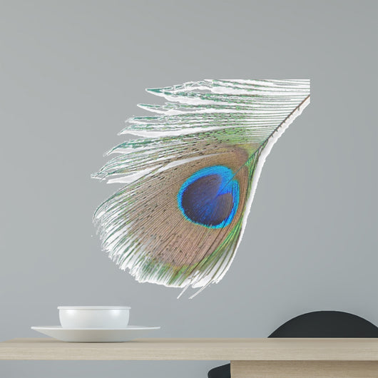 Green Peacock Feathers
