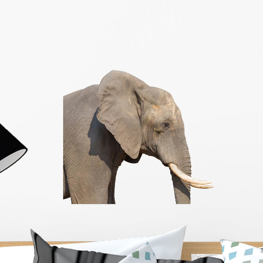 Elephant White