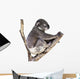Cute Koala White