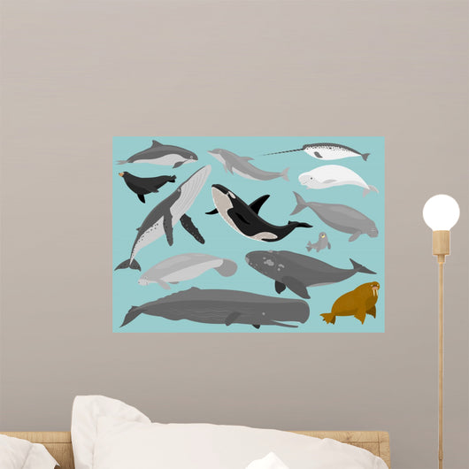 Marine Mammals