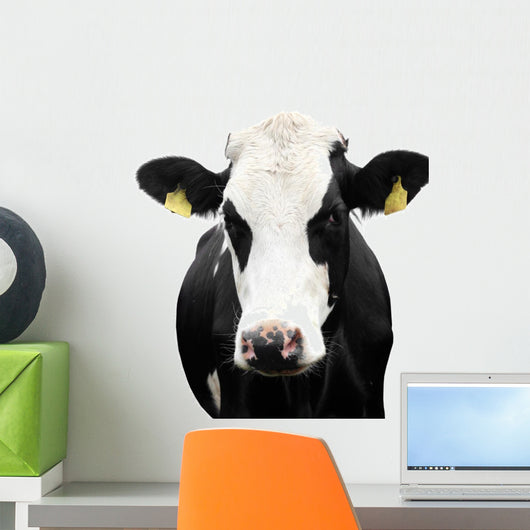 Funny Cow Isolated on a White Background Wall Decal