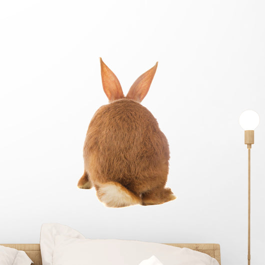 Light Brown Rabbit