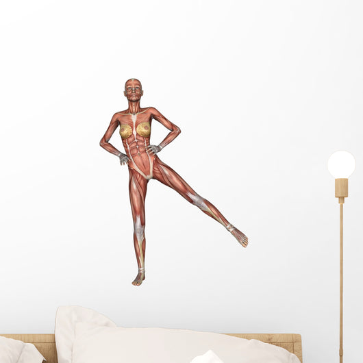 Female Anatomy Figure Wall Decal