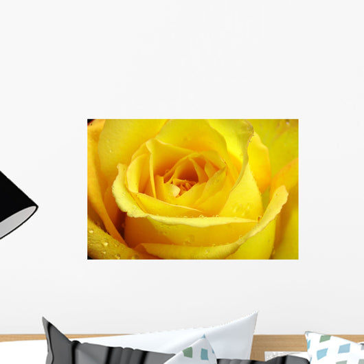 Wet Rose Wall Mural