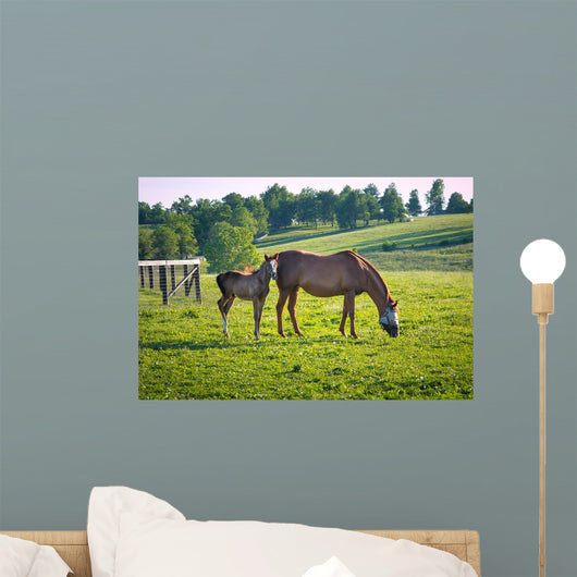 Horses at horse farm. Country landscape. Wall Mural