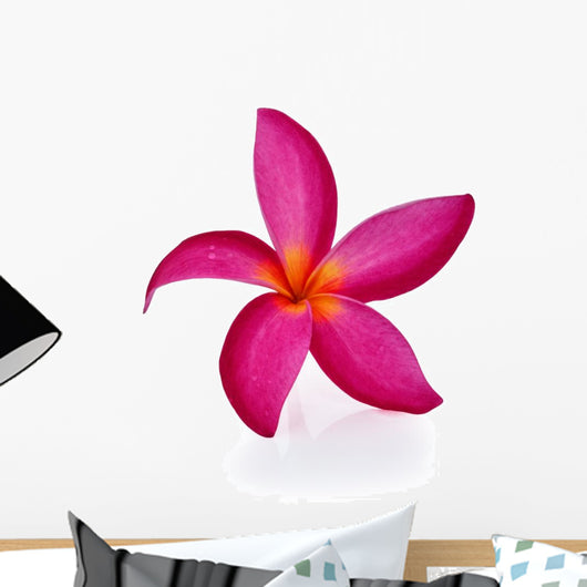 Frangipani Flower