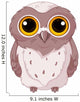 Cute Owlet