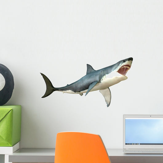 Great White Shark Attack