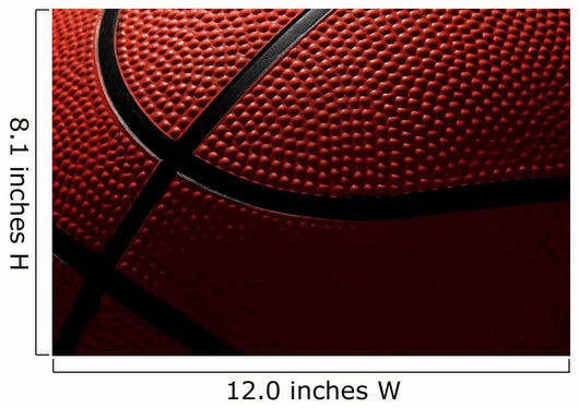 the ball to the basketball Wall Mural