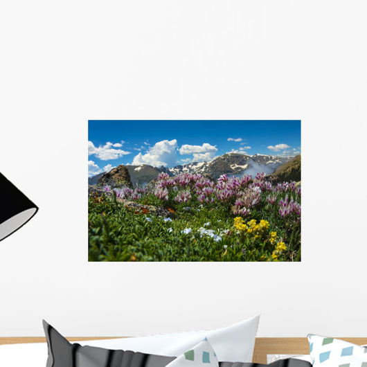 Colorado Landscape Wall Mural