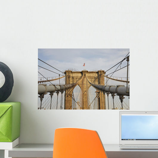 USA Wall Mural