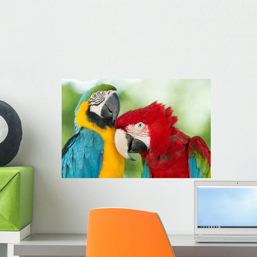 Parrots