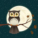 Owl Night