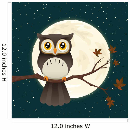 Owl Night