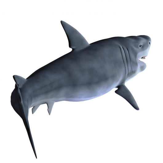 Shark Wall Mural