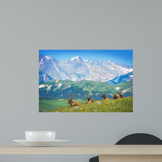 North American Elks