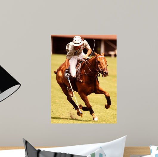 Polo Pony Wall Mural