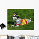 Fire Department Dalmation Wall Mural