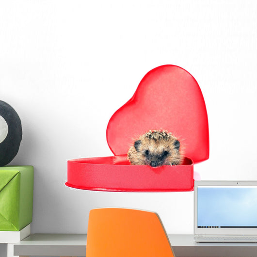 Small Forest Hedgehog in a Red Gift Box in Heart Shape Wall Decal
