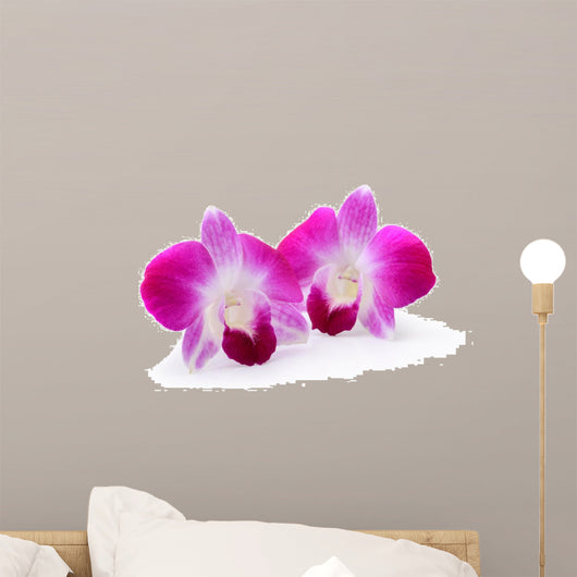 Purple Orchid Flower White