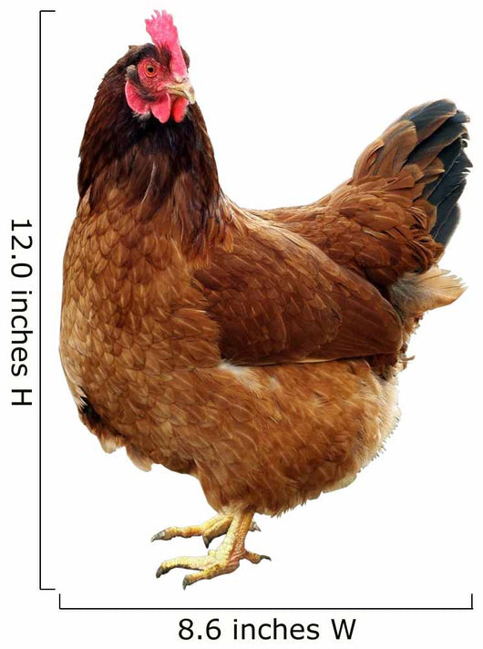 Chicken One Chicken Wall Decal